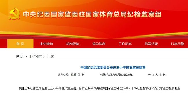 国产精品伊人
